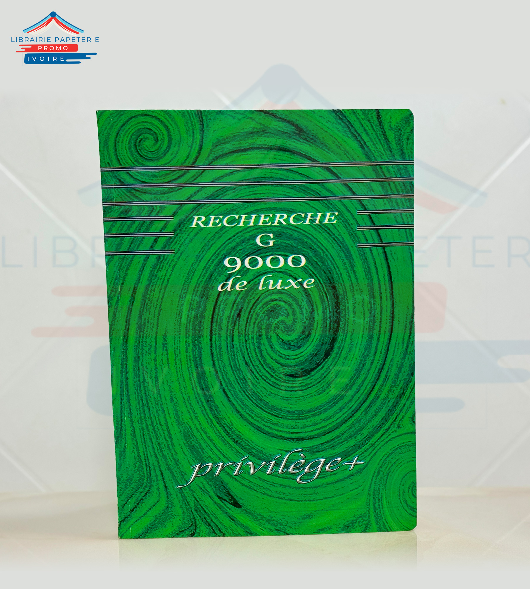 CAHIER RECHERCHE GRAND PRIVILEGE 300 PAGES